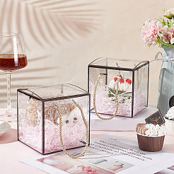 Прозрачная подарочная коробка из пластика для животных&nbsp;OBOX-WH0016-05B