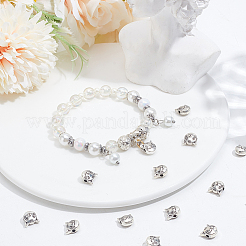 30 шт. бусины из сплава в тибетском стиле&nbsp;TIBEB-LP0001-10