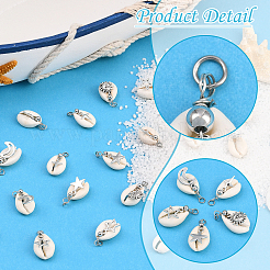 30 шт. подвески из натуральной ракушки каури и сплава&nbsp;FIND-SC0019-72