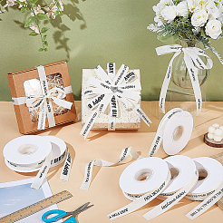 6 рулон 6-х видов полиэфирных лент&nbsp;SRIB-PH0001-61