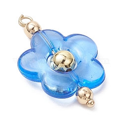 6шт прозрачные акриловые подвески&nbsp;PALLOY-JF04321