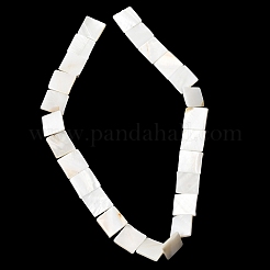 Нити бусин из натуральных пресноводных ракушек&nbsp;SHEL-A006-10A