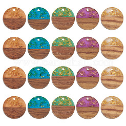 20шт 5 цвета подвески из смолы и ореха&nbsp;RESI-TA0004-43