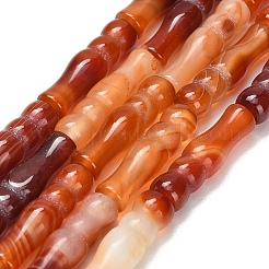 Натуральные полосатые агатовые бусы&nbsp;G-Z144-A01-02A