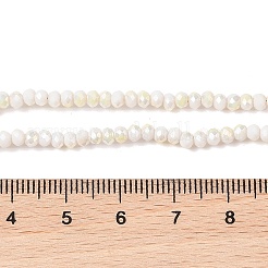 Гальваническое стекло граненые бусины рондель стренги&nbsp;EGLA-D020-3x2mm-05-B