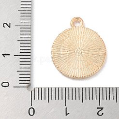 Подвески из эмали и сплава&nbsp;ENAM-A008-45C-KCG