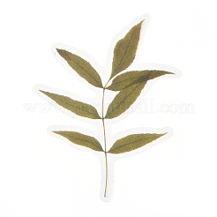 20 шт. самоклеящиеся наклейки в виде винтажных листьев для домашних животных&nbsp;DIY-M077-01C