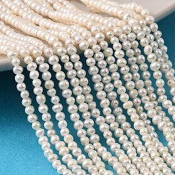 Нити из натурального культивированного пресноводного жемчуга&nbsp;PEAR-L034-14A