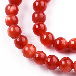 Нити бусин из натуральных пресноводных ракушек&nbsp;SHEL-N026-205B-01