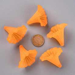 Прозрачные акриловые бусины&nbsp;BSF796-C19