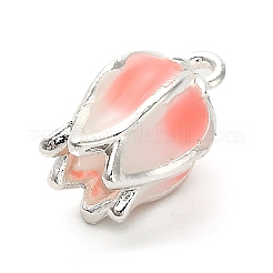 Подвески из эмали и сплава&nbsp;FIND-A051-08B-P