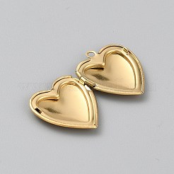 Подвески-медальоны из хирургической нержавеющей стали 316&nbsp;STAS-WH0044-75G