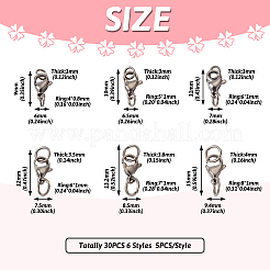 30 шт. 6 стиля карабинов из нержавеющей стали 304&nbsp;STAS-TA0001-83P