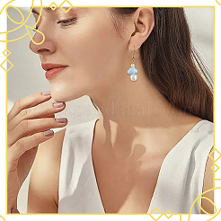 84 шт. 2-х цветные непрозрачные акриловые бусины&nbsp;FIND-SC0020-83A