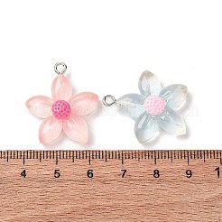 Прозрачные смоляные подвески&nbsp;RESI-Z043-04P