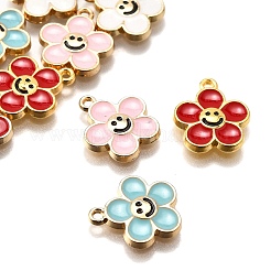 10шт 5 стиля подвески из сплава с эмалью&nbsp;ENAM-FP0002-45