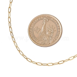 Цепочки-скрепки из нержавеющей стали 304&nbsp;NJEW-JN05502