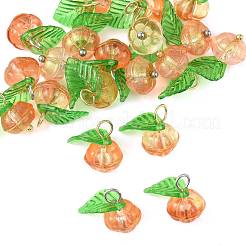 20 шт. 2-х цветные стеклянные и акриловые подвески&nbsp;PALLOY-FS00051