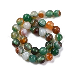 Натуральные полосатые агатовые / полосатые агатовые бусинки G-Z060-A01-A22