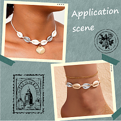 100 шт. гальванизированные натуральные бусины из ракушек каури&nbsp;BSHE-LT0001-05B