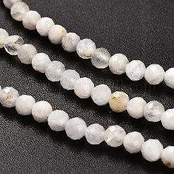 Бусины из натурального радужного лунного камня&nbsp;LS-G-RM2025-31-3mm