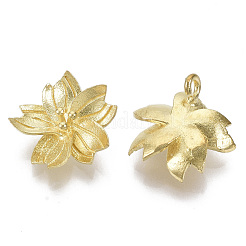 Латунные подвески&nbsp;KK-T057-009-NF