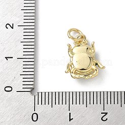 Подвески из латуни с эмалью на тему насекомых&nbsp;KK-B155-01B-02G