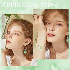 16шт ручной работы бусины лэмпворк&nbsp;LAMP-SC0001-38