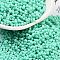 Baking Paint Glass Seed Beads, Peanut, Turquoise, 2~2.5x4x2mm, Hole: 0.8mm, about 15000pcs/pound