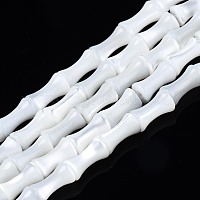 Нити бусин из натуральных трохоидных/трохус ракушек&nbsp;SSHEL-N034-93-B01