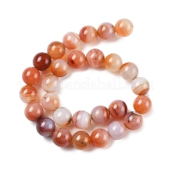 Природные многоцветные агат бисер пряди&nbsp;G-A261-B21-14mm