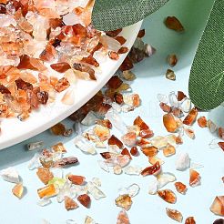 Природные сердолика бусы чип&nbsp;X-G-O103-18