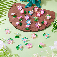 30шт 5 цвета прозрачные акриловые подвески&nbsp;PALLOY-TA00303