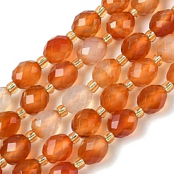 Природного сердолика нитей бисера&nbsp;G-F809-A51-01