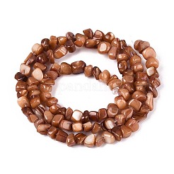 Нити бусин из натуральных пресноводных ракушек&nbsp;SHEL-N037-04C