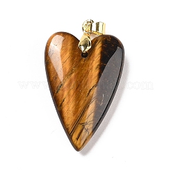 Природных тигровый глаз подвески&nbsp;X-G-E570-01G-07