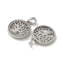 Подвески из латуни с микропаве из циркония&nbsp;X-KK-R210-21P-01