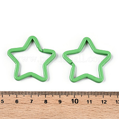 Окрашенные аэрозольной краской железные застежки для ключей&nbsp;IFIN-WH0063-14D