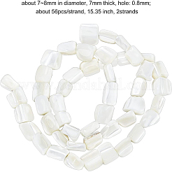 2 нить столбик натуральный трохус ракушки бусины нити&nbsp;BSHE-BC0001-01