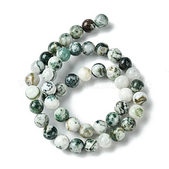 Натурального дерева агат бисер нитей&nbsp;X-G-K194-8mm-02