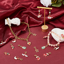 20 шт. 10 стиля рождественские эмалевые подвески из сплава украшения&nbsp;PALLOY-FH00174