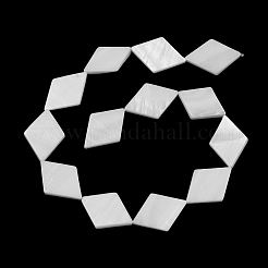 2 нить бусин из натуральных пресноводных ракушек&nbsp;SHEL-SC0001-82