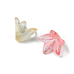 Прозрачные колпачки акриловая бисера&nbsp;OACR-FS0001-49