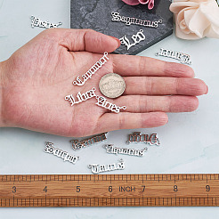 24шт 2 комплекта ювелирных изделий из цинкового сплава подвески аксессуары&nbsp;FIND-FW0001-09P