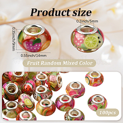 100шт смола с полимерной глиной внутри европейские бусины&nbsp;RESI-PA0001-14B