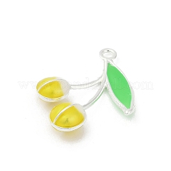 Подвески из эмали и сплава&nbsp;PALLOY-R151-43P-04