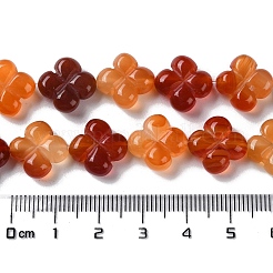 Природного сердолика нитей бисера&nbsp;G-M418-D02-01