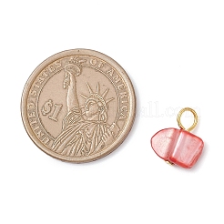 Подвески из натуральных окрашенных морских ракушек&nbsp;PALLOY-JF04307-02