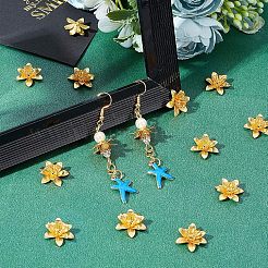 Латунные бусины&nbsp;KK-FH0002-69B