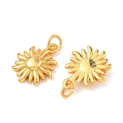 Латунные подвески&nbsp;KK-K364-24B-G